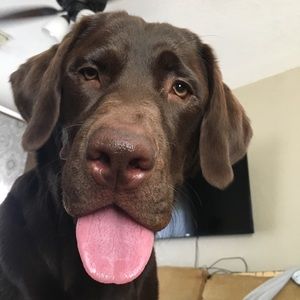 Meet your Posher, Hailey